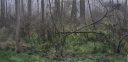 Lepějovice 2014 - Daněk Zdeněk 